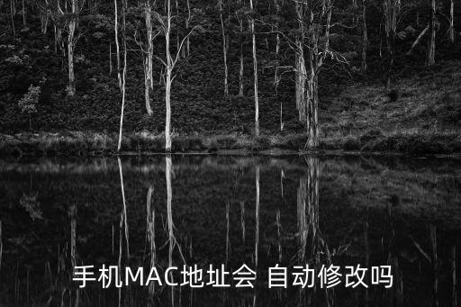  手機(jī)MAC地址會(huì) 自動(dòng)修改嗎