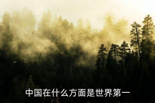 中國哪些領域世界第一，中國有哪些世界第一