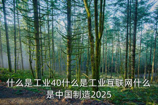工業(yè)互聯(lián)網(wǎng)建設(shè)，什么是工業(yè)40什么是工業(yè)互聯(lián)網(wǎng)什么是中國制造2025