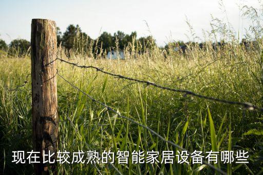 現(xiàn)在比較成熟的智能家居設(shè)備有哪些