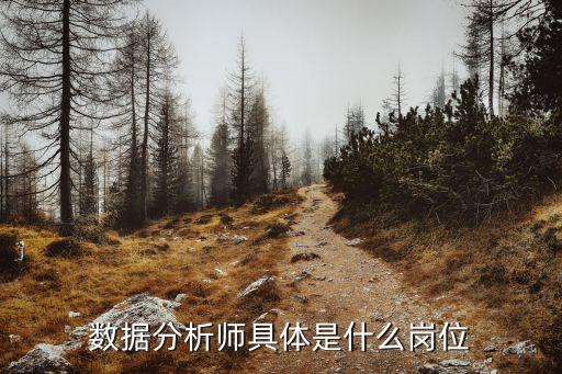 數(shù)據(jù)分析師，數(shù)據(jù)分析師具體是什么崗位