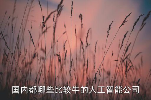 國內(nèi)都哪些比較牛的人工智能公司