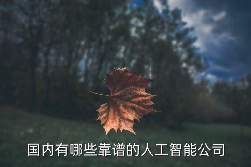 國內(nèi)有哪些靠譜的人工智能公司