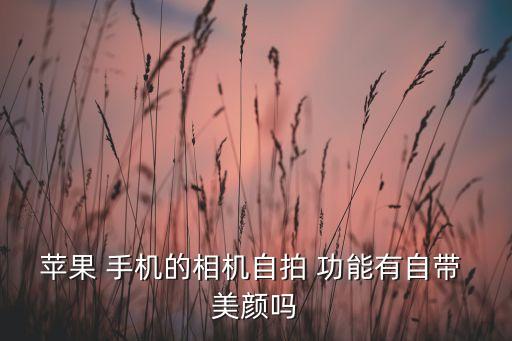 手機(jī)攝像頭自動(dòng)美顏功能嗎,前綴攝像頭美顏功能