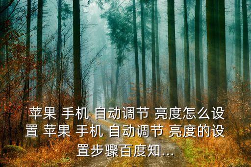 蘋果手機(jī)自動(dòng)亮度,蘋果手機(jī)亮度調(diào)整-3自動(dòng)按鈕即可