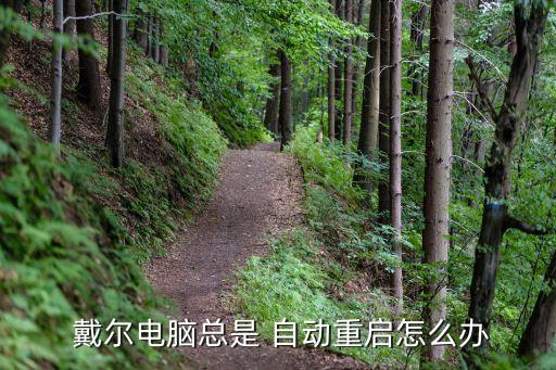 戴爾空調(diào)自動關機,戴爾筆記本重啟困難重現(xiàn)四大問題
