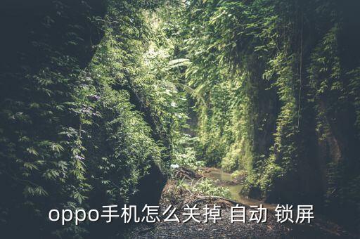 oppo怎么關(guān)閉自動(dòng)鎖屏密碼,如何關(guān)閉和修改手機(jī)鎖屏?