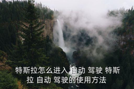 特斯拉自動(dòng)輔助駕駛系統(tǒng),特斯拉h(huán)ow怎么開?