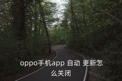 oppo自動系統(tǒng)更新,手機系統(tǒng)-2更新具體操作步驟如下
