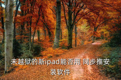 未越獄的新ipad能否用 同步推安裝軟件