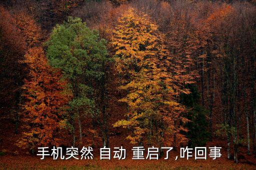 手機(jī)自動重啟然后,手機(jī)自動重啟怎么辦?