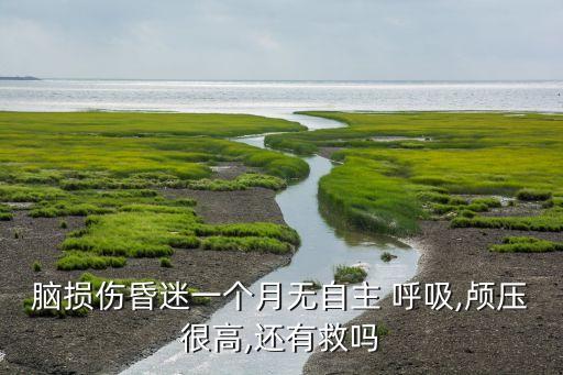 大腦無法自動(dòng)呼吸,醫(yī)學(xué)還沒有辦法讓腦死亡病人復(fù)活