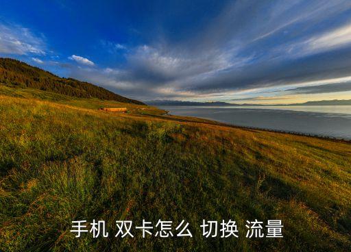 雙卡手機(jī)自動(dòng)切換流量,如何設(shè)置雙卡雙待?
