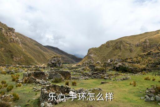 樂心手環(huán)自動(dòng)記錄睡眠,睡眠測試可戴樂心手環(huán)測試是否正常佩戴