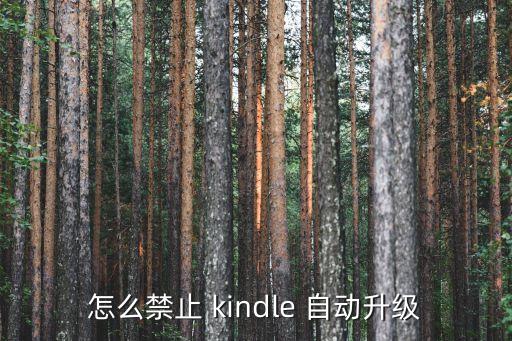 重啟kindle會(huì)自動(dòng)更新,這款kindle怎么玩?
