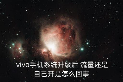  vivo手機系統(tǒng)升級后 流量還是自己開是怎么回事