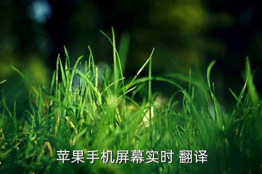 蘋果有自動翻譯功能,蘋果手機系統(tǒng)設(shè)置菜單點擊字典功能；