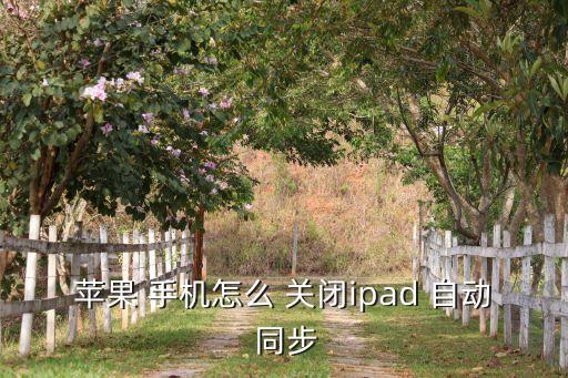 關閉手機自動同步,iphone中關閉通訊錄同步功能四大特點