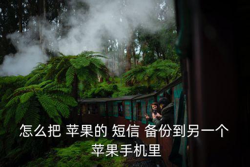 怎么把 蘋(píng)果的 短信 備份到另一個(gè) 蘋(píng)果手機(jī)里