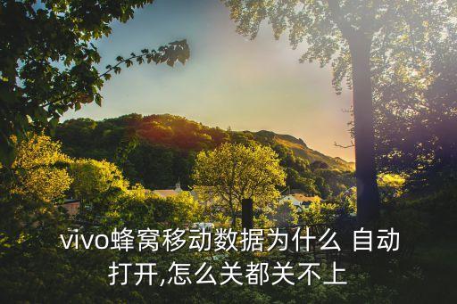  vivo蜂窩移動數(shù)據(jù)為什么 自動打開,怎么關都關不上