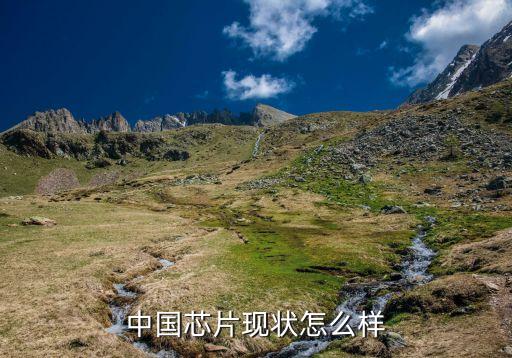 世界芯片出口大國排名，ARM處理器芯片廠商國外哪家最好