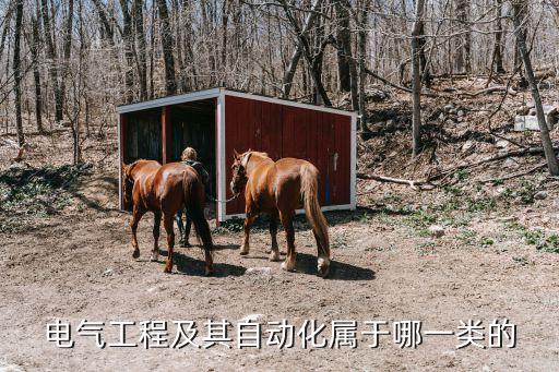 電氣工程及其自動(dòng)化屬于哪一類(lèi)的