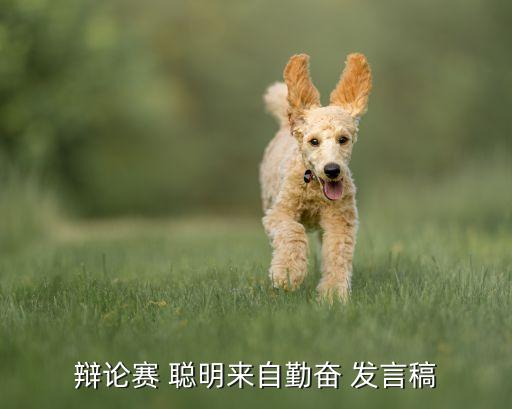 賦能演講的例子，辯論賽 聰明來自勤奮 發(fā)言稿