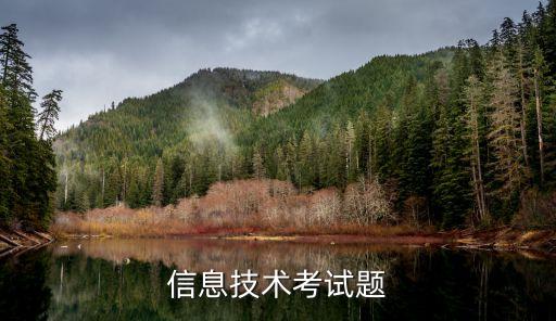 信息技術(shù)考試試題庫(kù)及答案，信息技術(shù)考試題
