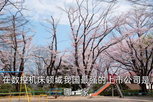 數(shù)控機床龍頭上市公司，在數(shù)控機床領域我國最強的上市公司是哪一家