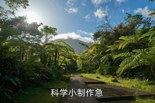一年級科學小實驗制作大全，小學生科技小制作