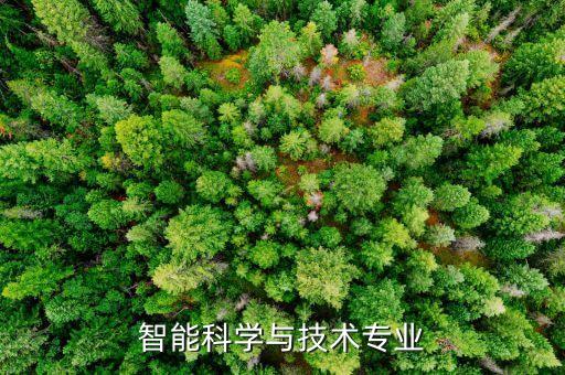 智能科學(xué)與技術(shù)專(zhuān)業(yè)