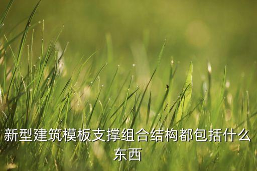 新型建筑模板支撐組合結(jié)構(gòu)都包括什么東西
