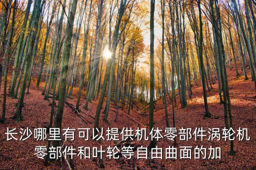 長沙哪里有可以提供機(jī)體零部件渦輪機(jī)零部件和葉輪等自由曲面的加