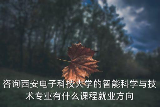 咨詢(xún)西安電子科技大學(xué)的智能科學(xué)與技術(shù)專(zhuān)業(yè)有什么課程就業(yè)方向