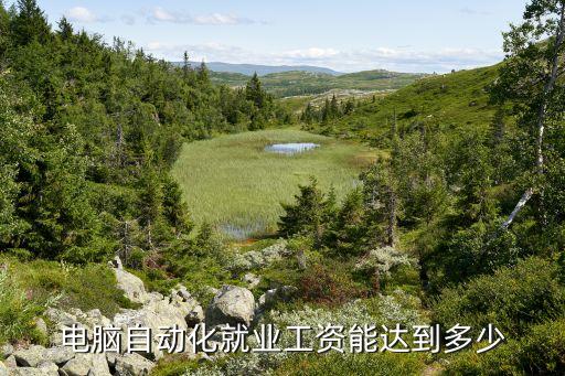 自動化專業(yè)年薪能到30萬嗎，電腦自動化就業(yè)工資能達(dá)到多少