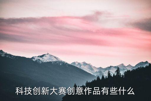 科技創(chuàng)新大賽創(chuàng)意作品有些什么