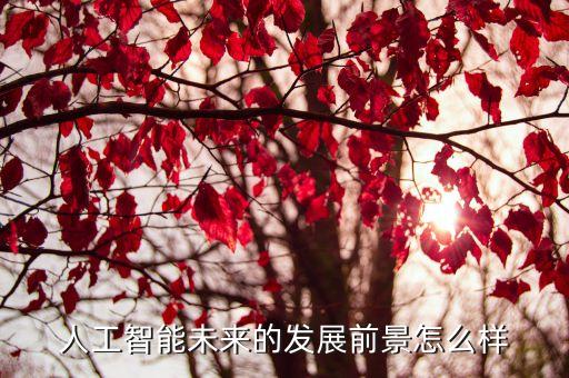 人工智能未來(lái)的發(fā)展前景怎么樣