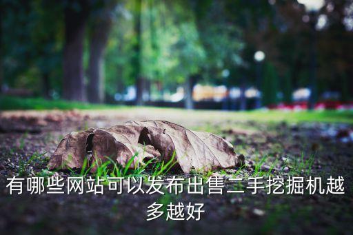 有哪些網(wǎng)站可以發(fā)布出售二手挖掘機(jī)越多越好