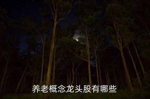 養(yǎng)老概念龍頭股有哪些