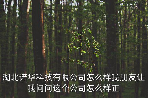 澤火時代科技，美羅國際生物科技股份有限公司產(chǎn)品怎么樣普通人能不能做