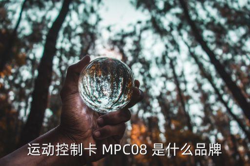 運(yùn)動(dòng)控制卡 MPC08 是什么品牌