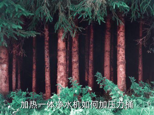 一體飲水機(jī)怎么加熱，加熱一體凈水機(jī)如何加壓力桶