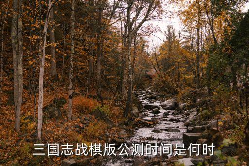 三國志戰(zhàn)棋版公測時間是何時