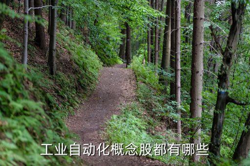 線束自動化生產(chǎn)設(shè)備概念股，有沒有解決線束裝配專業(yè)自動化公司