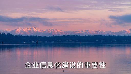 信息化建設(shè)的目的和意義，企業(yè)信息化建設(shè)的重要性