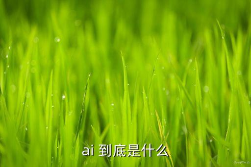 ai 到底是什么