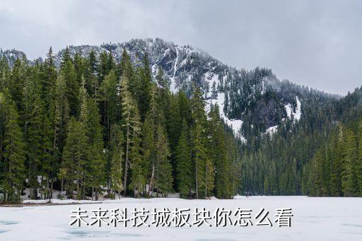 未來(lái)科技城板塊你怎么看