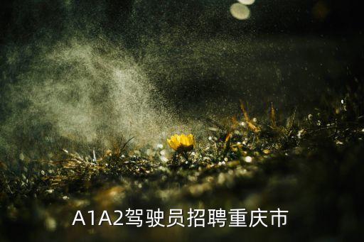 無人駕駛公司招聘，A1A2駕駛員招聘重慶市