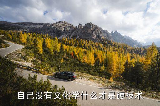 沒文化零基礎(chǔ)學(xué)什么技術(shù)好，自己沒有文化學(xué)什么才是硬技術(shù)