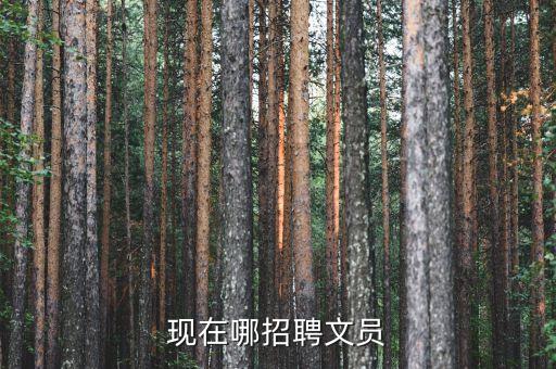 文職人員招聘2023官網(wǎng)，北京招聘文職崗位的信息